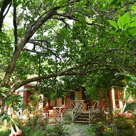 Bison Woods Hotel Yercaud Bagian luar foto