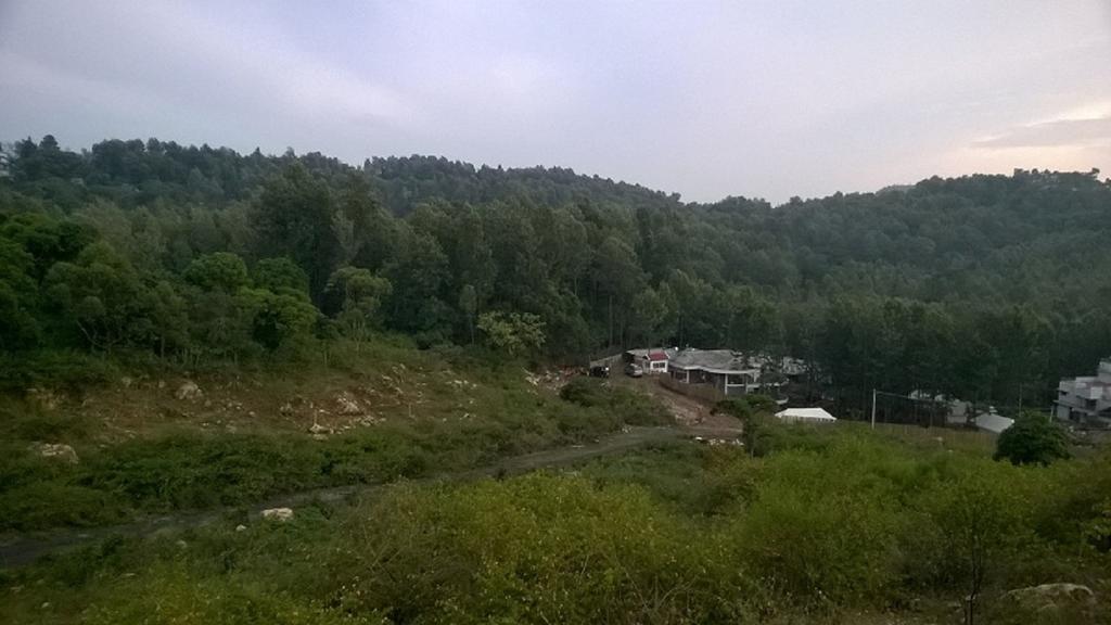 Bison Woods Hotel Yercaud Ruang foto