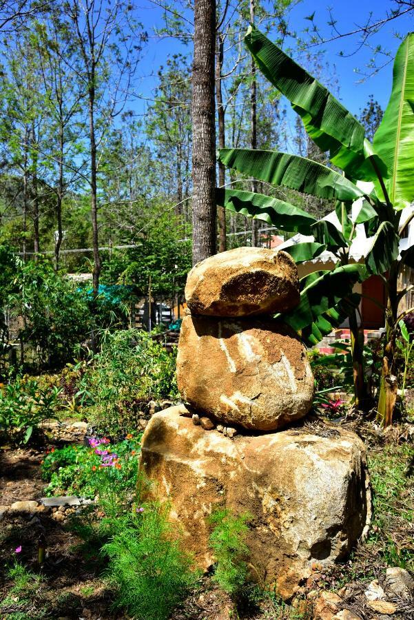 Bison Woods Hotel Yercaud Bagian luar foto